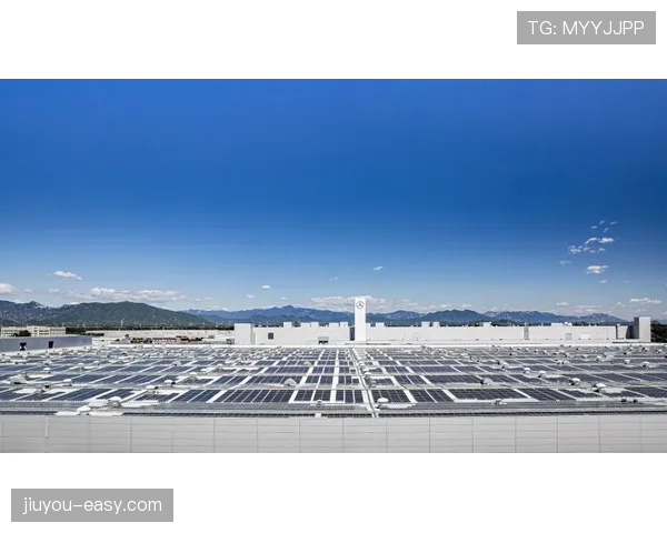 斯特拉斯堡借助蓝鲸集团加速阵容年轻化